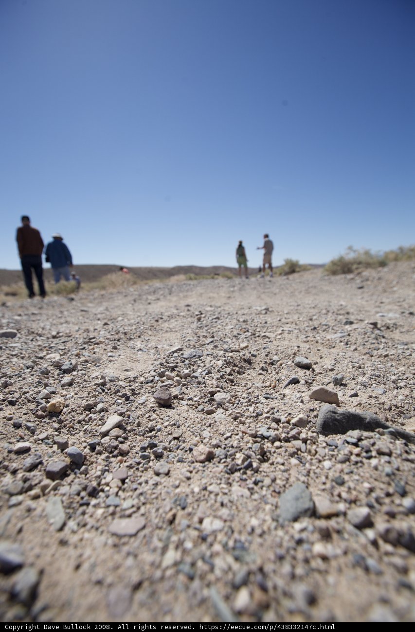 Desert Wanderers