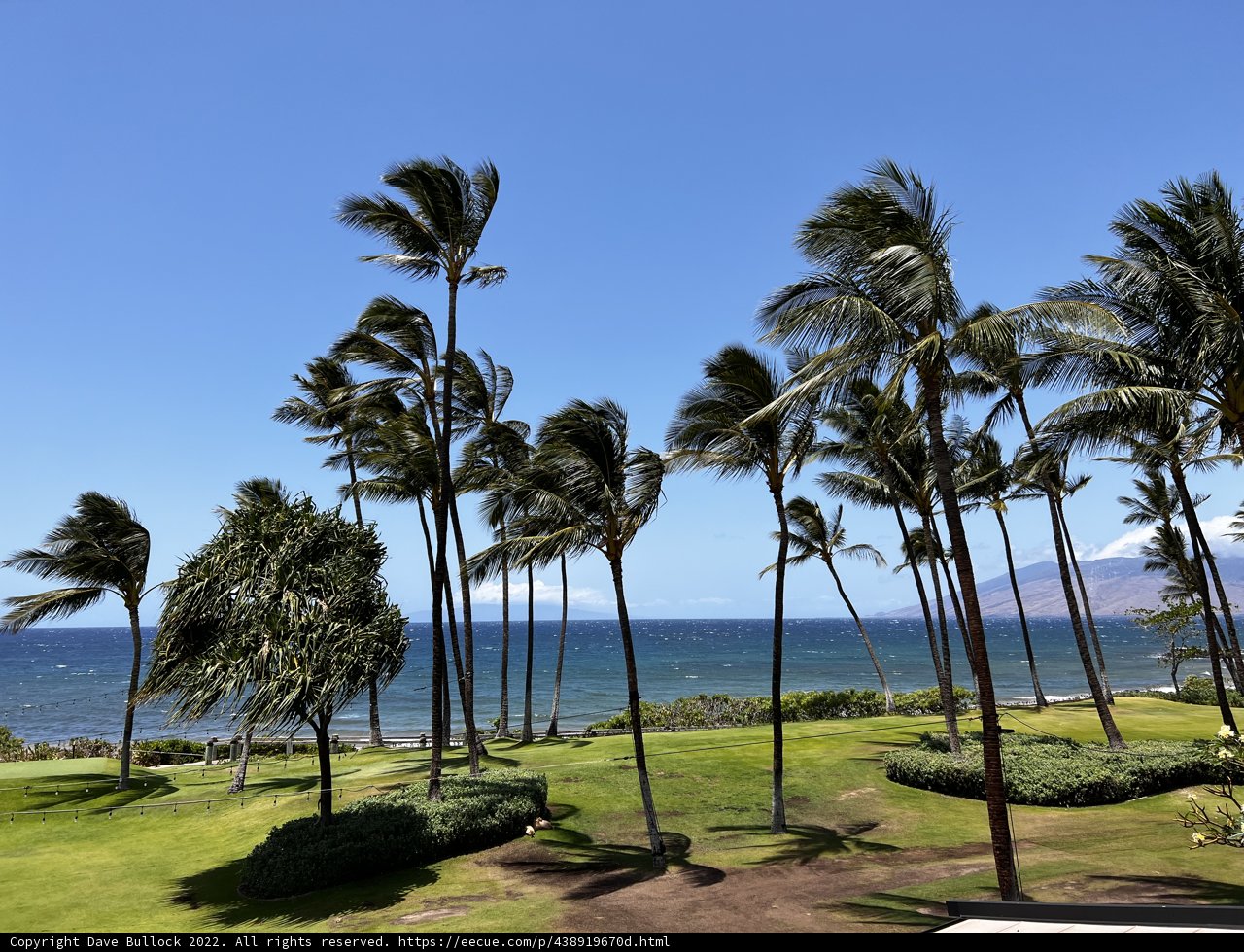 Tropical Summer Scenery from Wailea Balcony