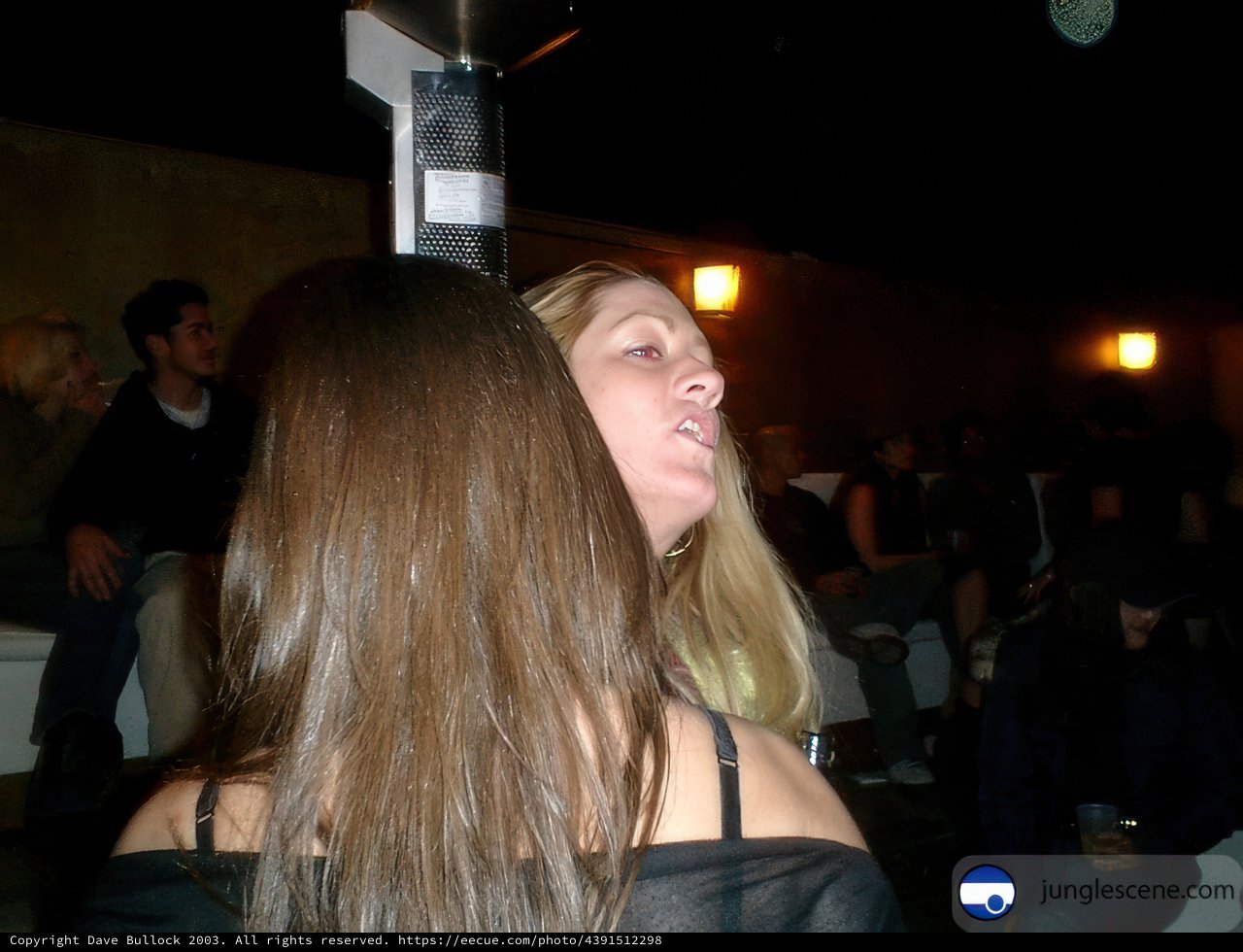 Party Night at the Urban Nightclub