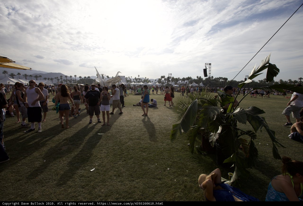 Festival Goers Enjoying the Outdoors