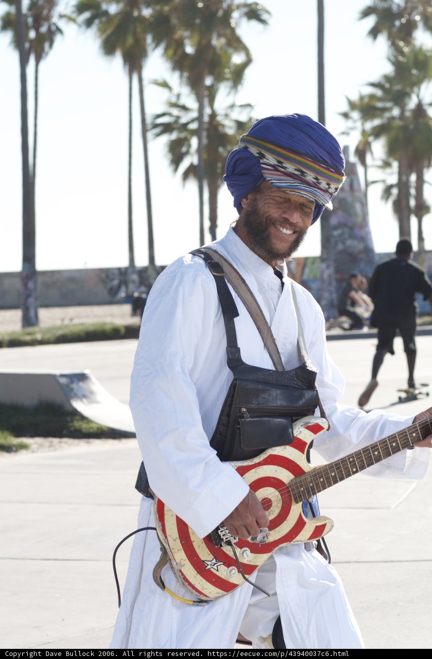 Turban-wearing Musician Posing by Palm Tree