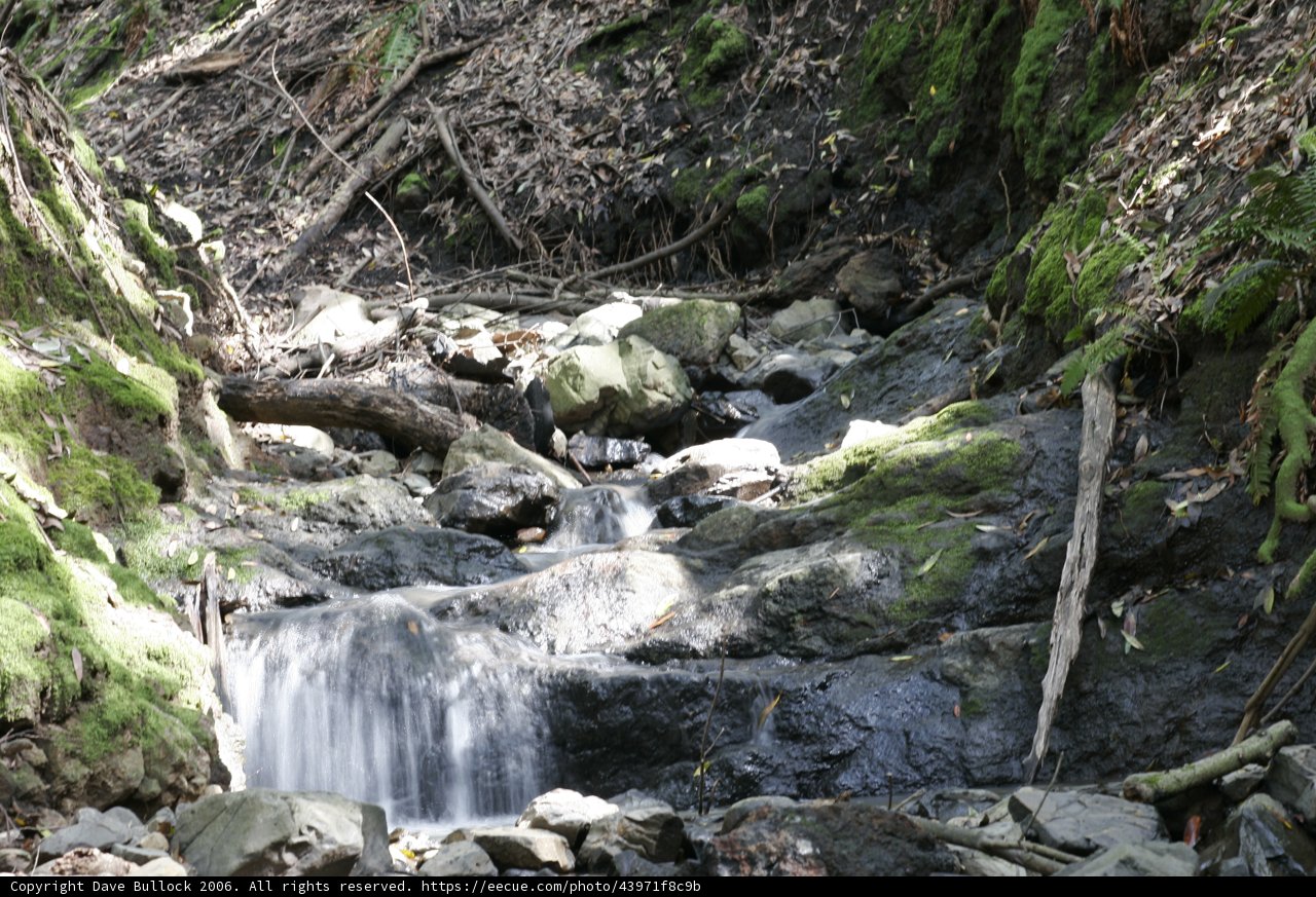 Serene Waterfall in the Heart of the Forest