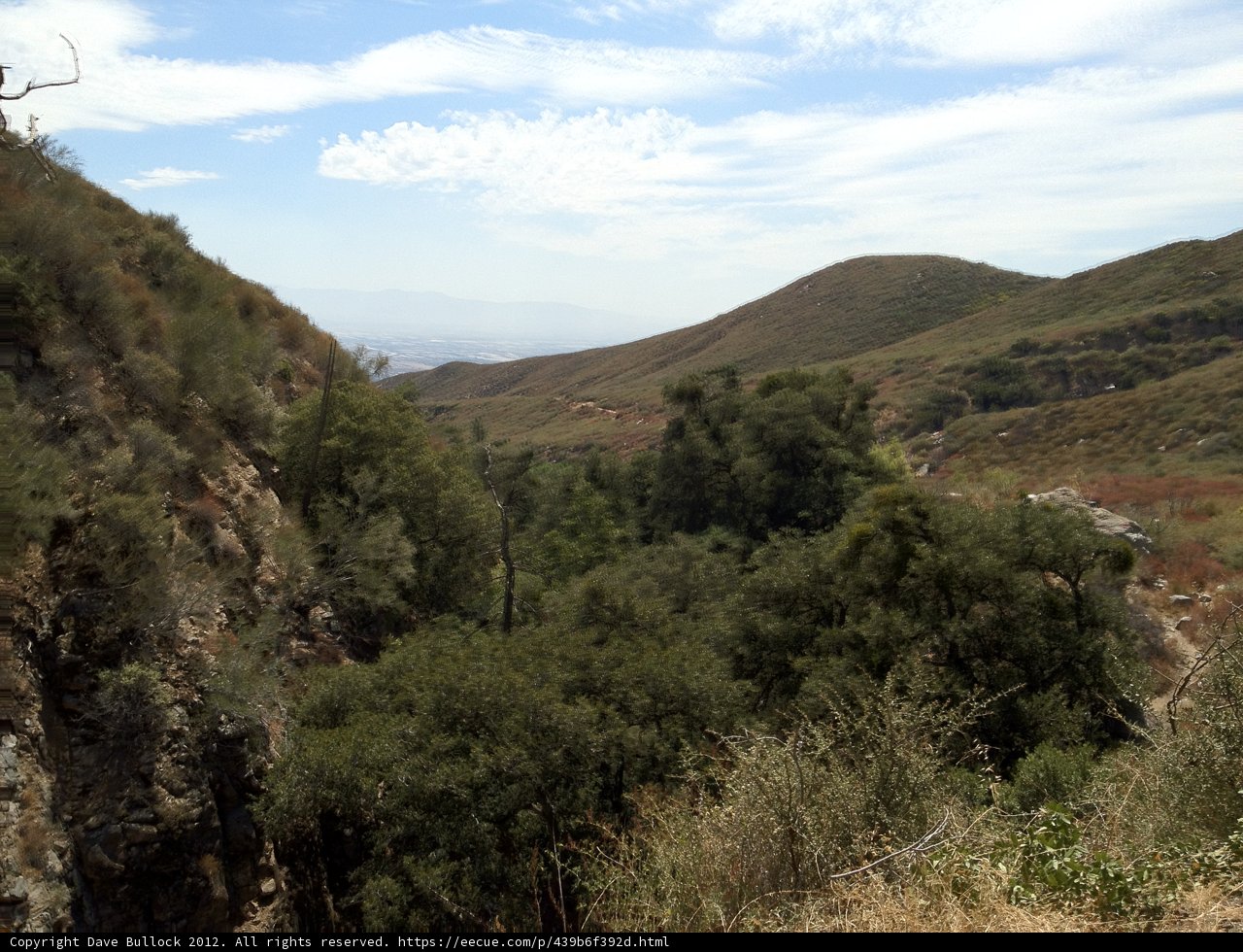 Majestic Slope in the San Bernardino Wilderness