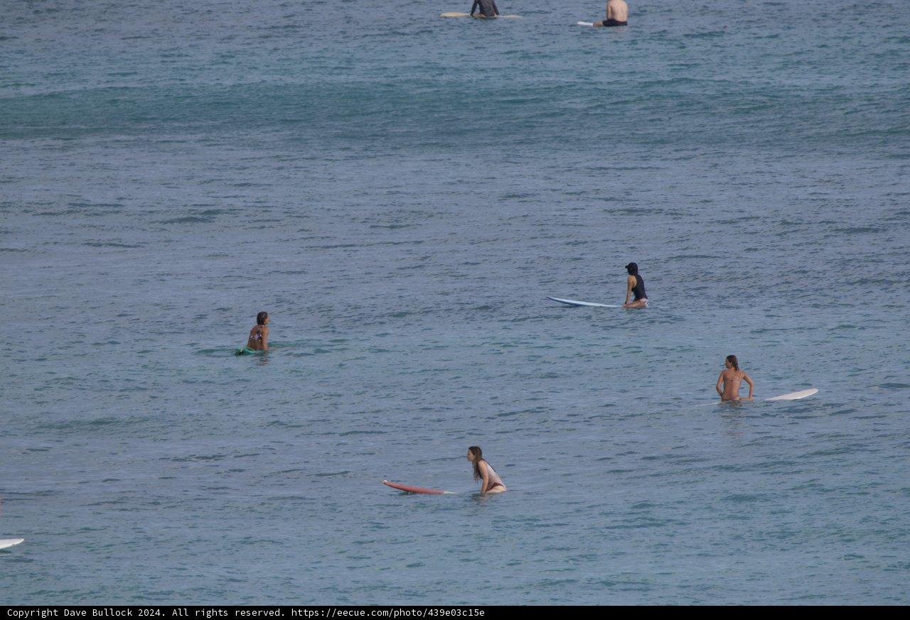 Catching Waves: A Serene Day of Surfing in Hawaii