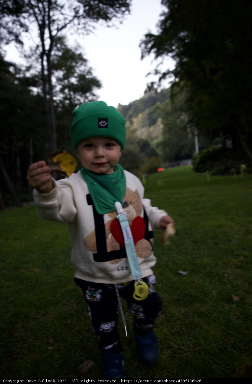 Big Sur's Little Adventurer