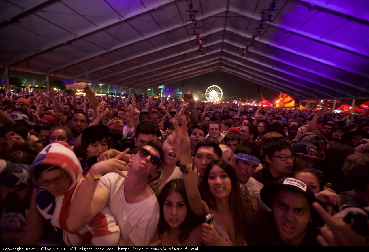 Festival Fun