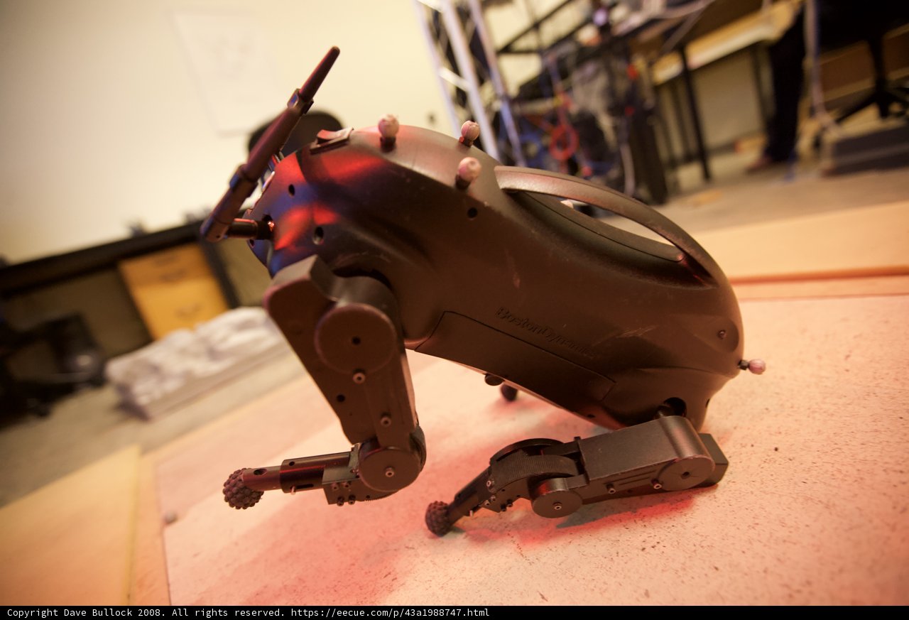 Robo-Dog on Wooden Table