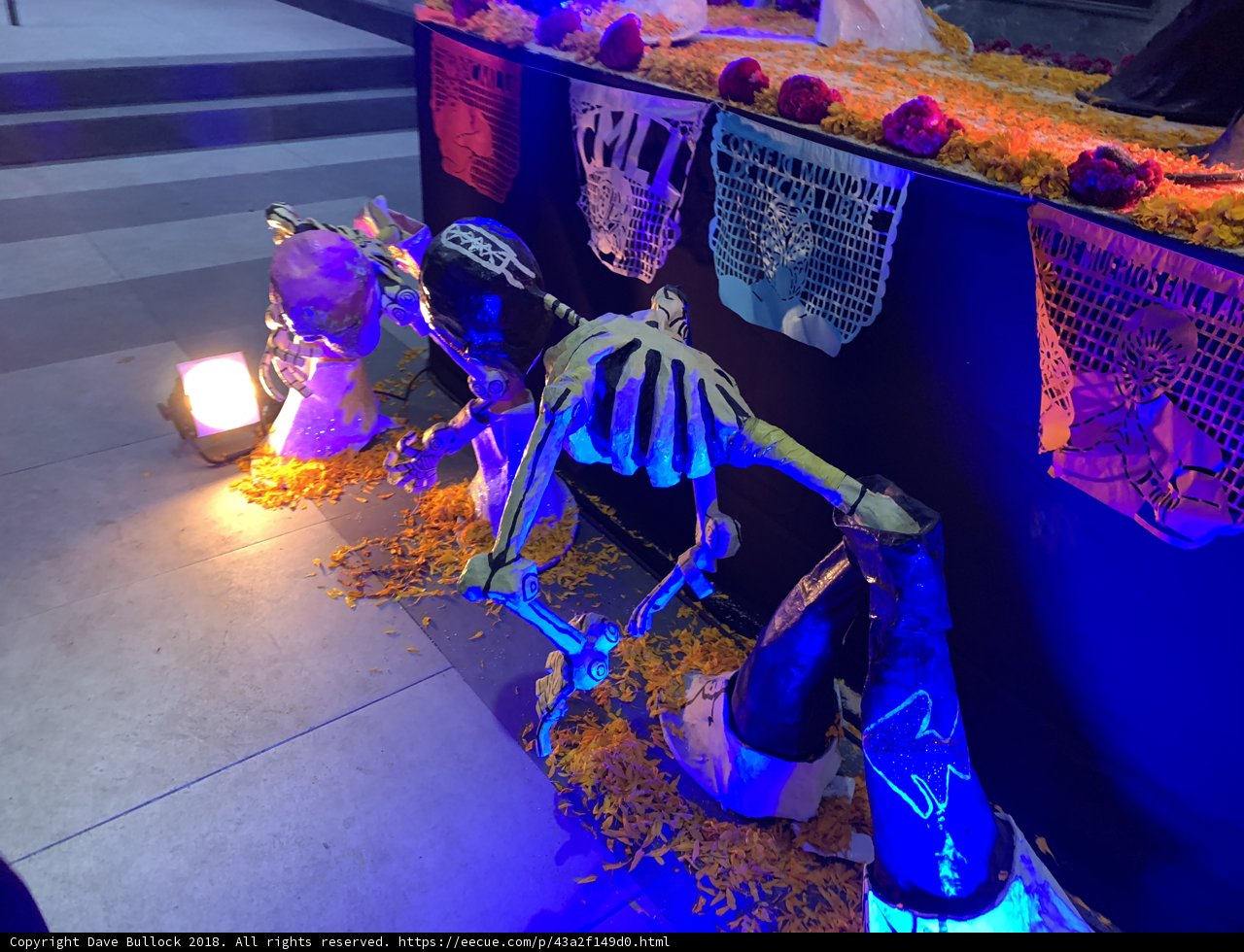 Illuminated Skeleton on Bench