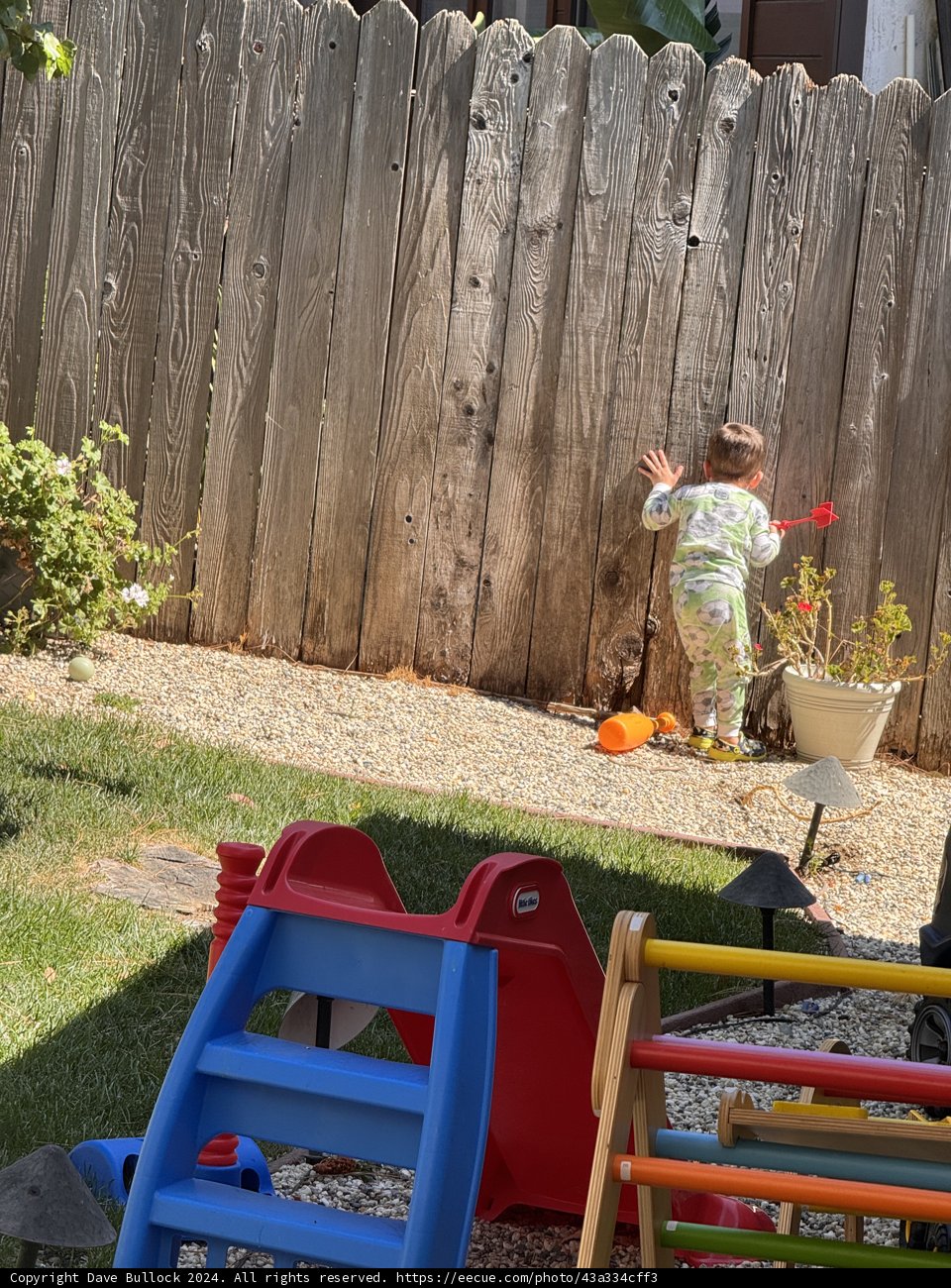Backyard Adventures