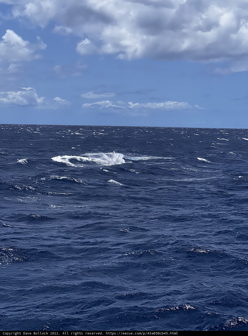 Serene Sailing on the Pacific