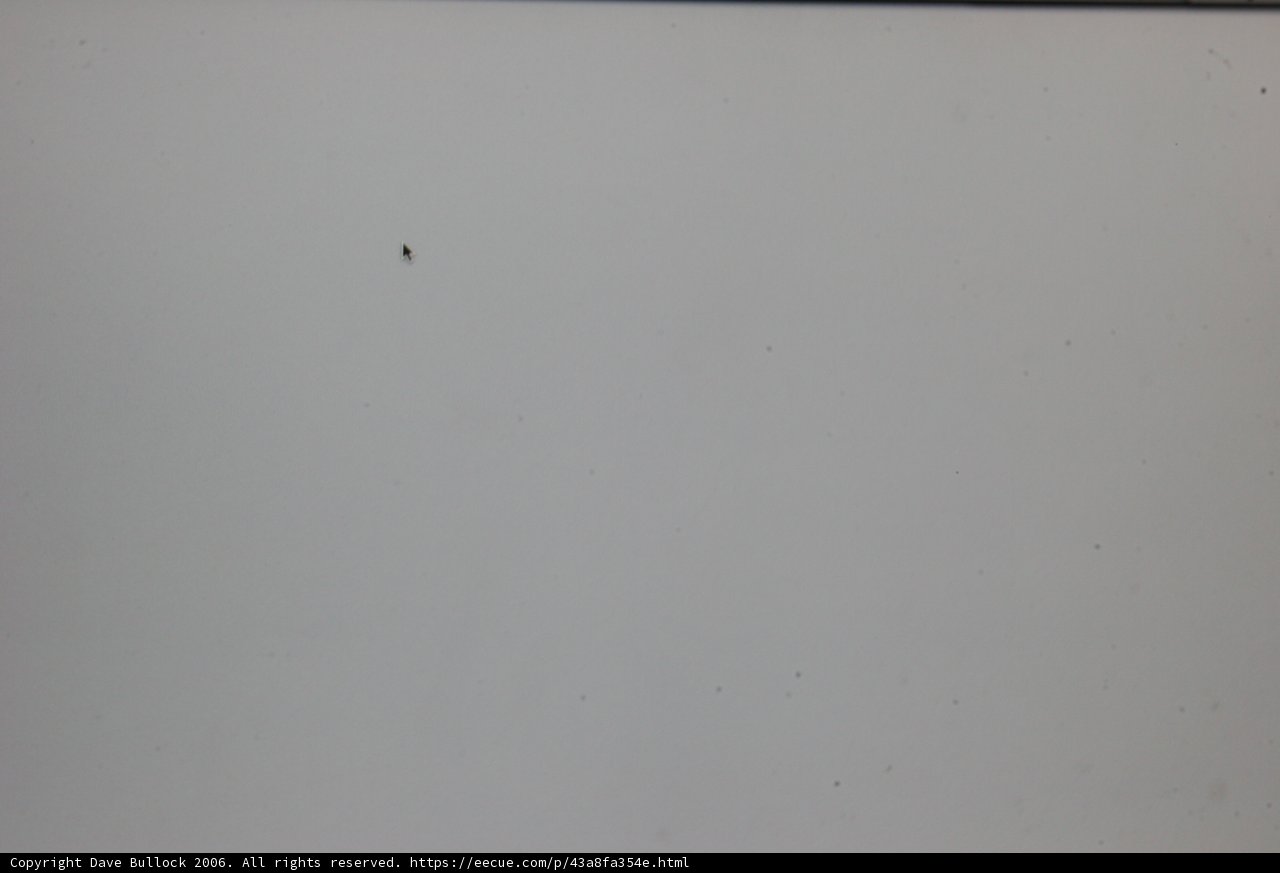 Flight of the Tiny Spider