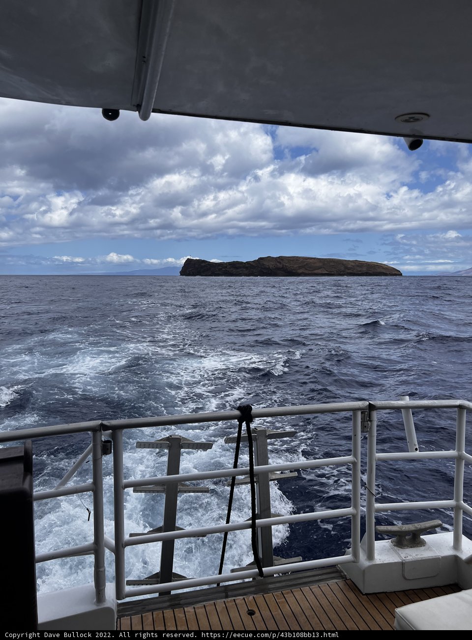 Ocean Horizons from the Boat Deck