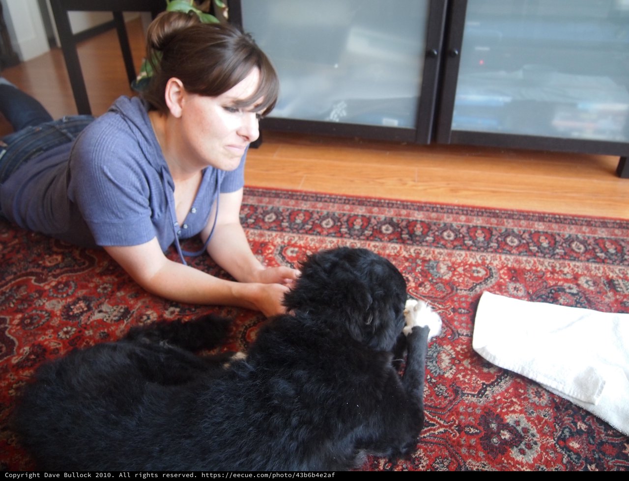 Woman Bonding with Large Black Dog on Rug
