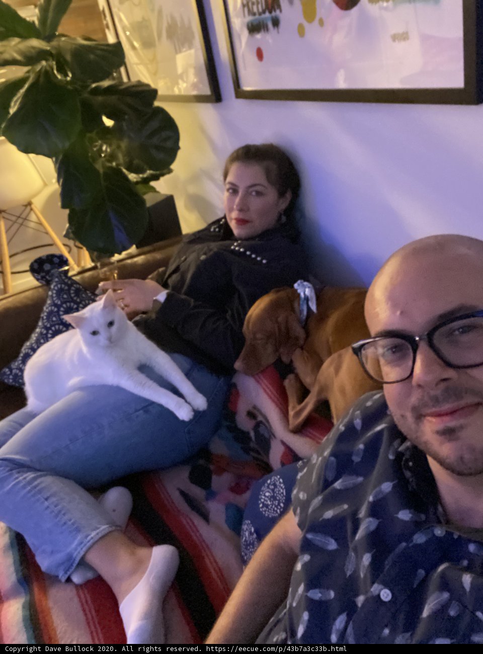 Relaxing with our Furry Friend