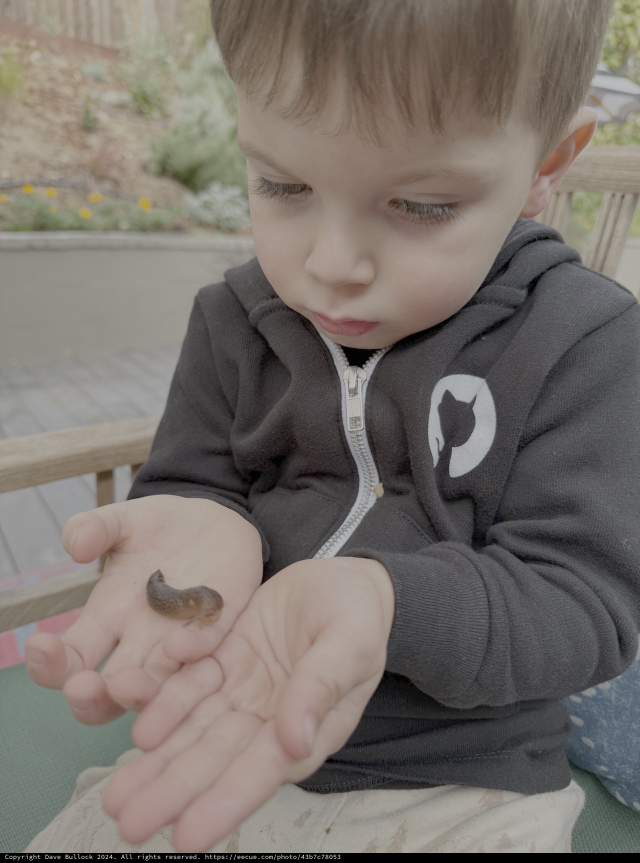 Child Discovers Small Slug in Garden Setting