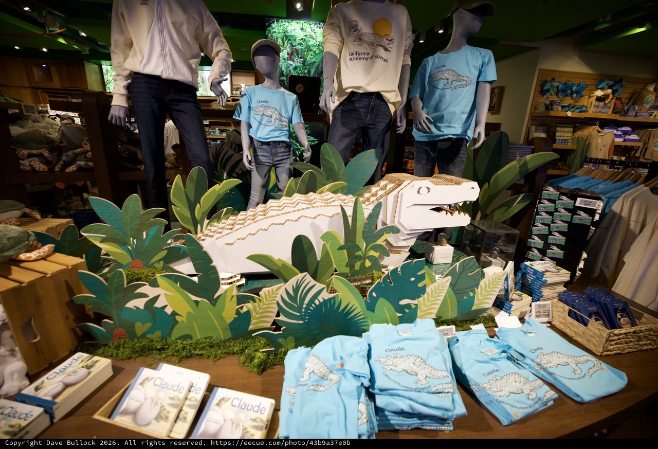 California Academy of Sciences Gift Shop Display