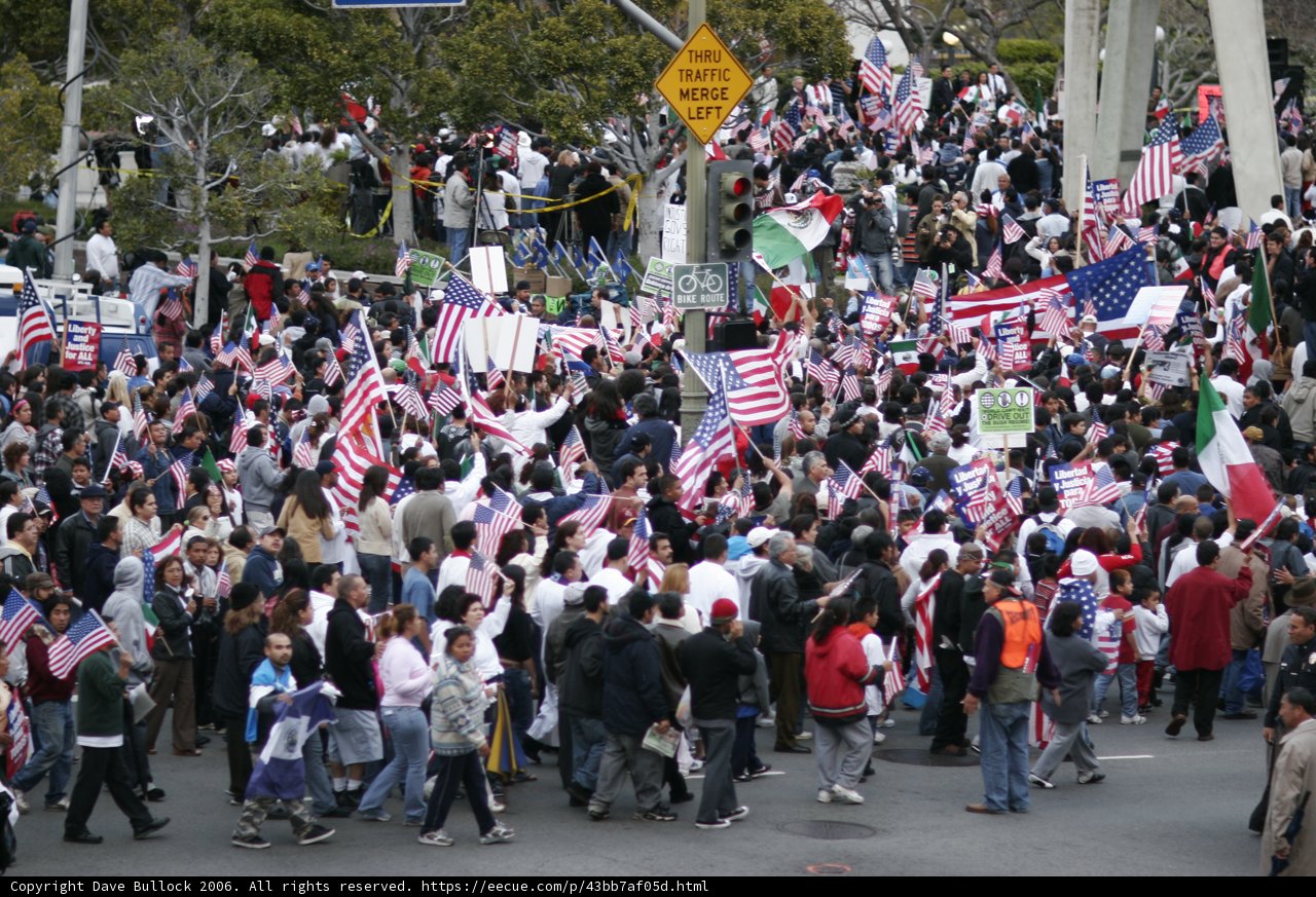 Patriotic Crowd