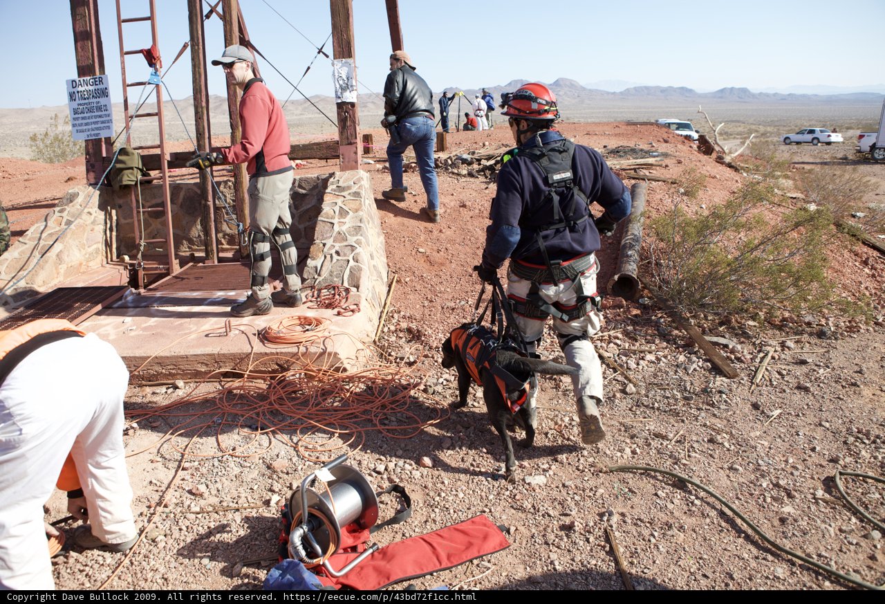 Rescuer and Canine Companion