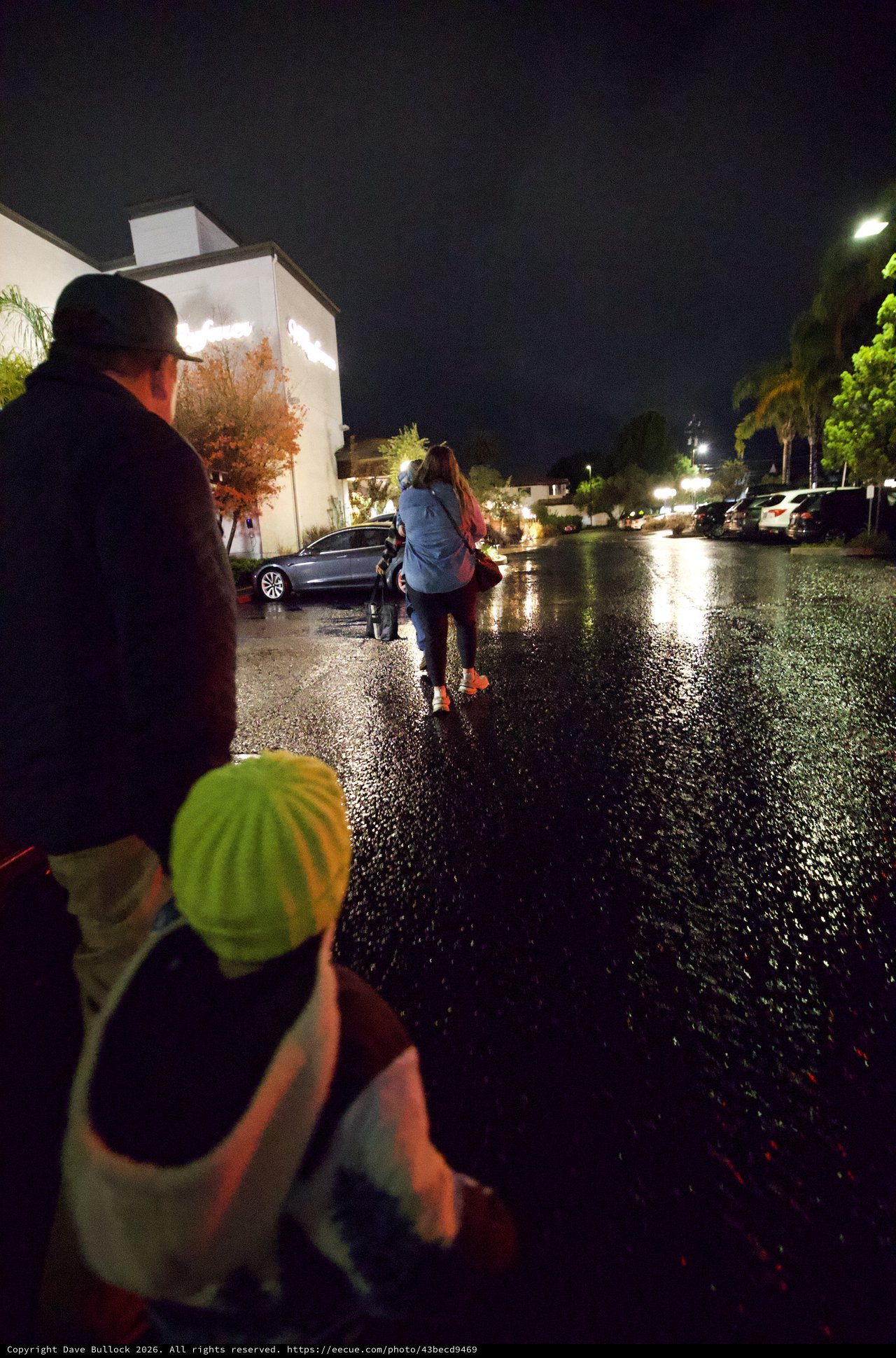 Night Walk Through Rain-Soaked Suburban Streets