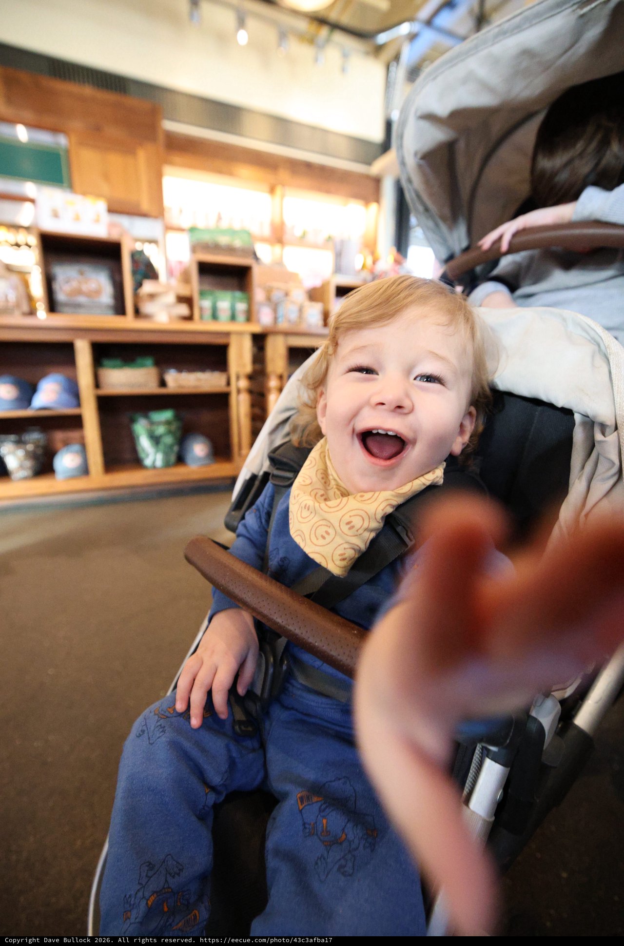 Joyful Toddler in Stroller at Retail Store