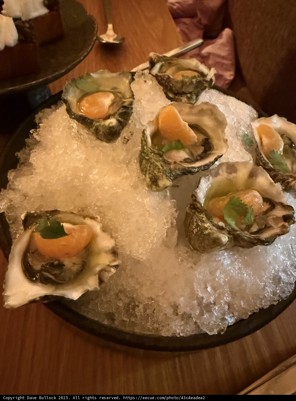 Coastal Delights in Guerneville
