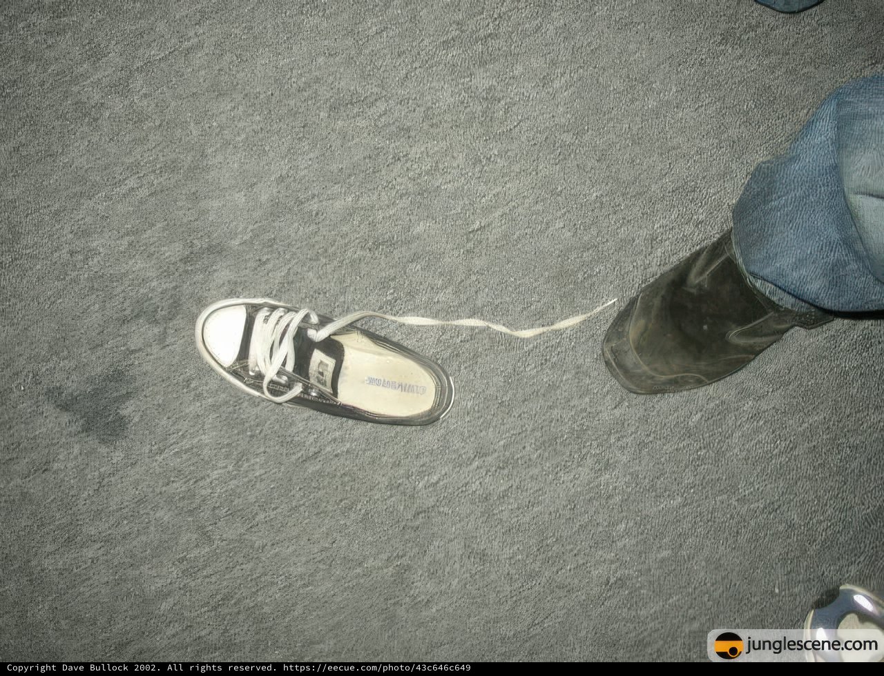 Shoe Strings