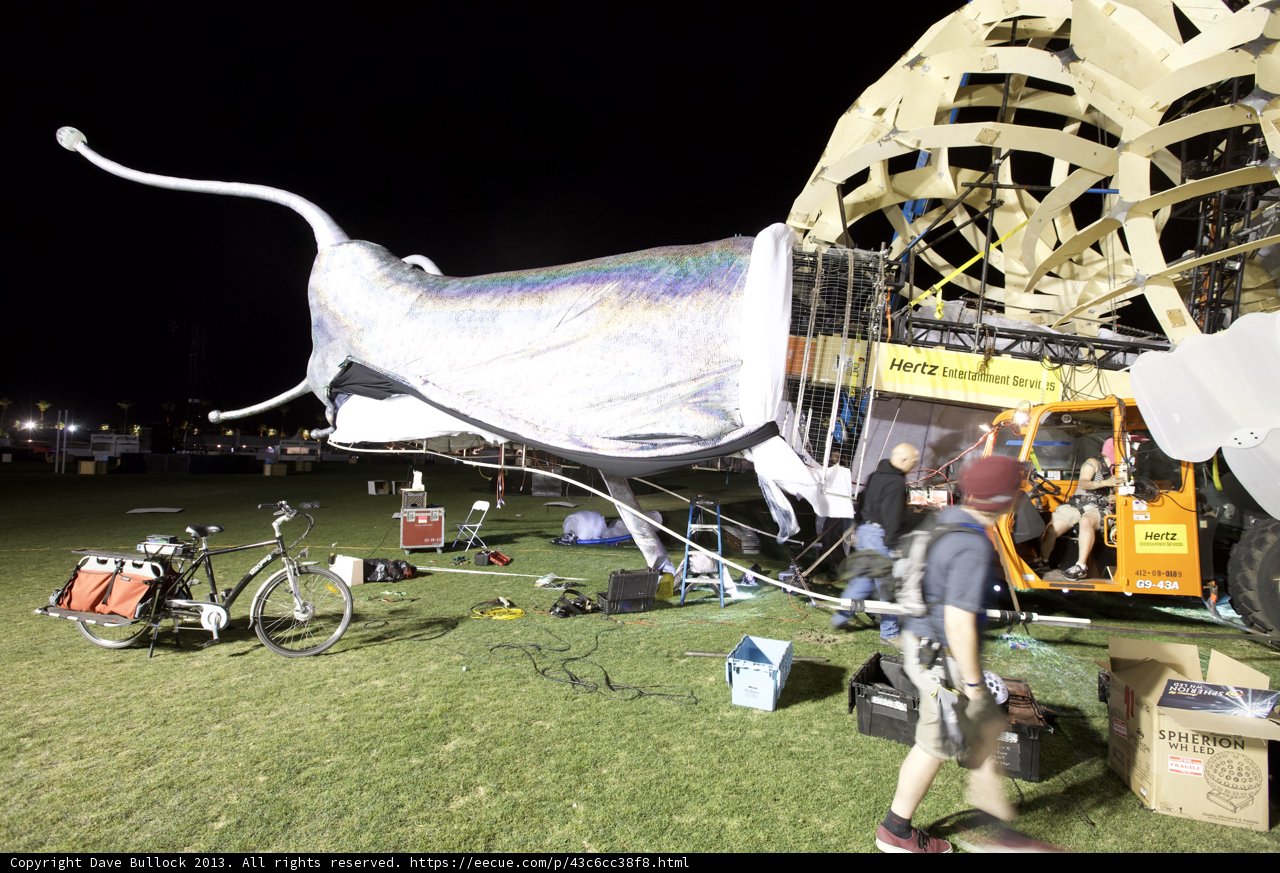Metallic Meadow At Coachella
