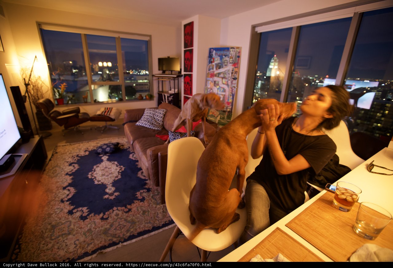 Relaxing in the Living Room