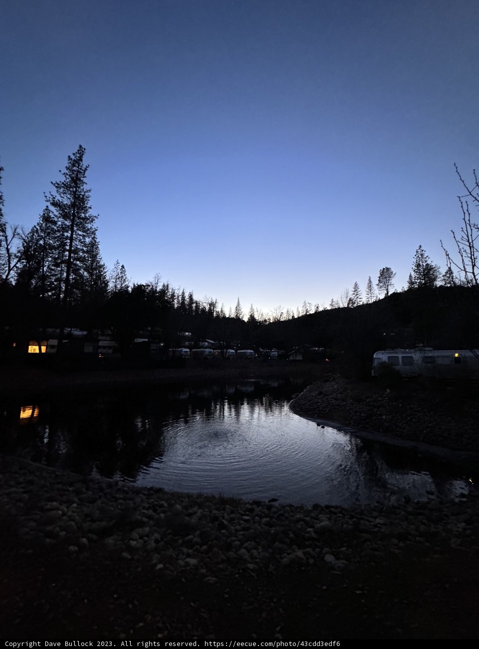 Serene Solitude by the Lakeside