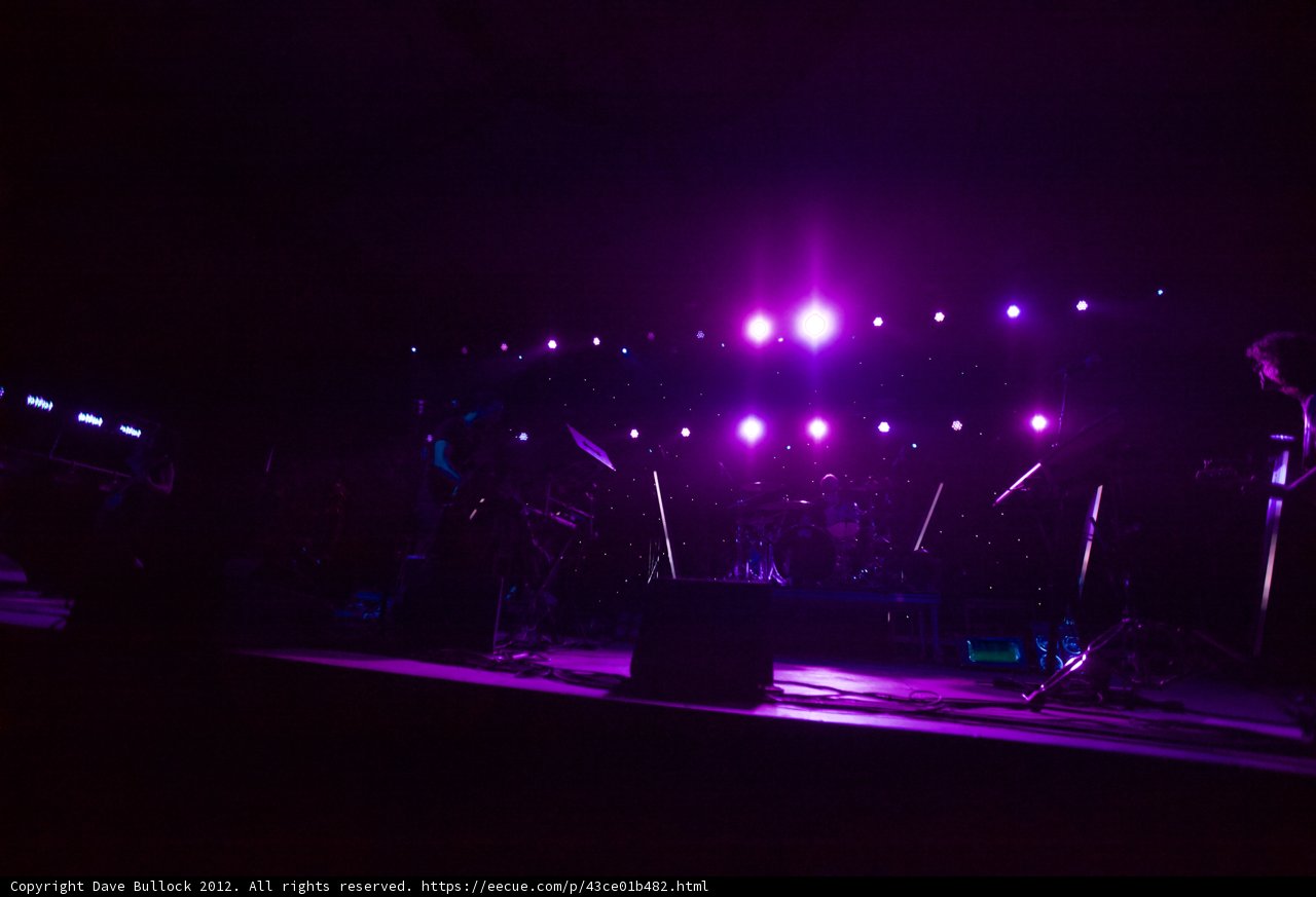 Purple Haze
