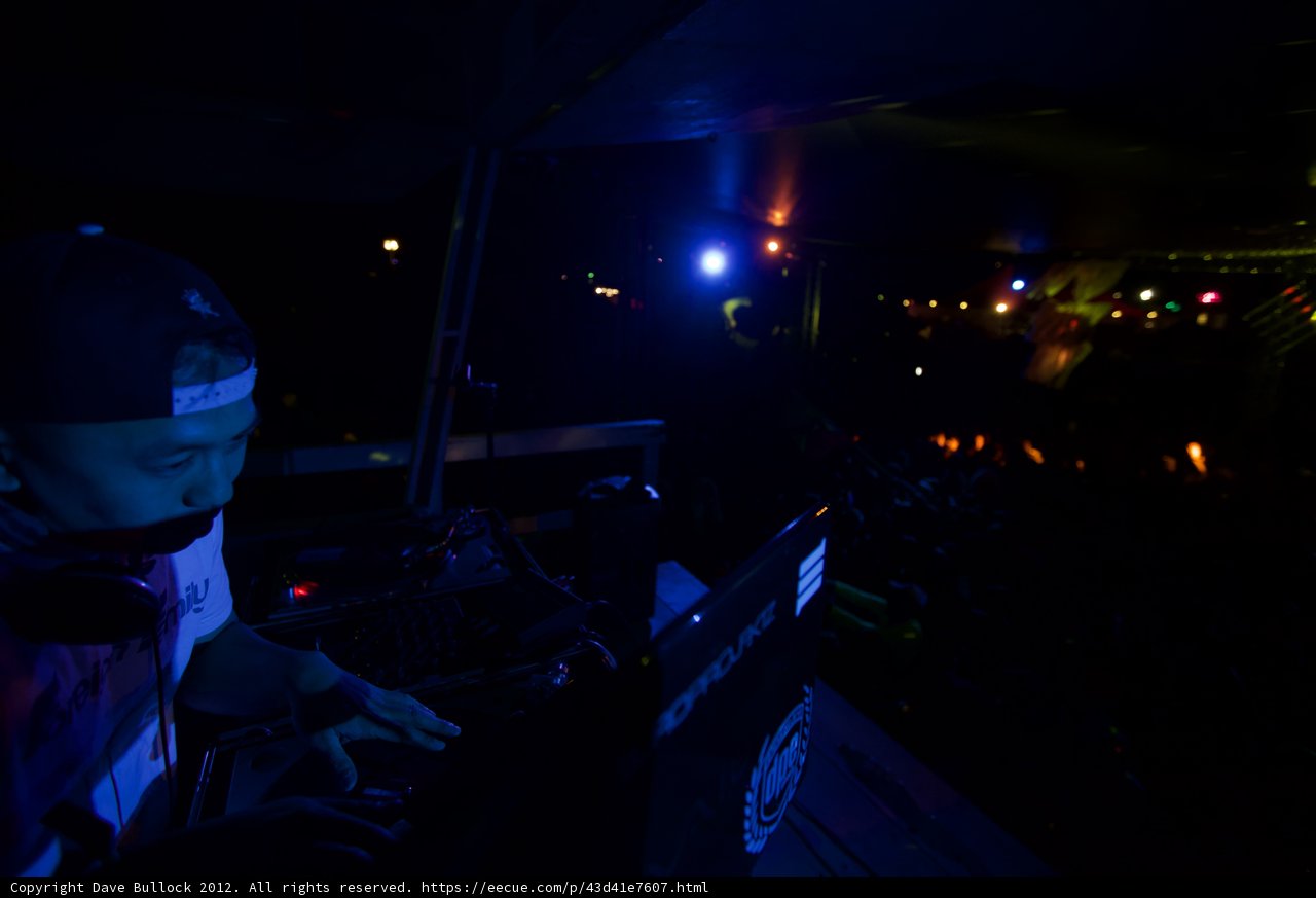 Groovin' in the Night