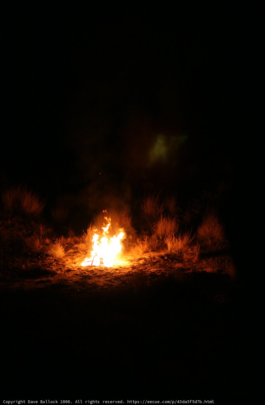 Burning Bright
