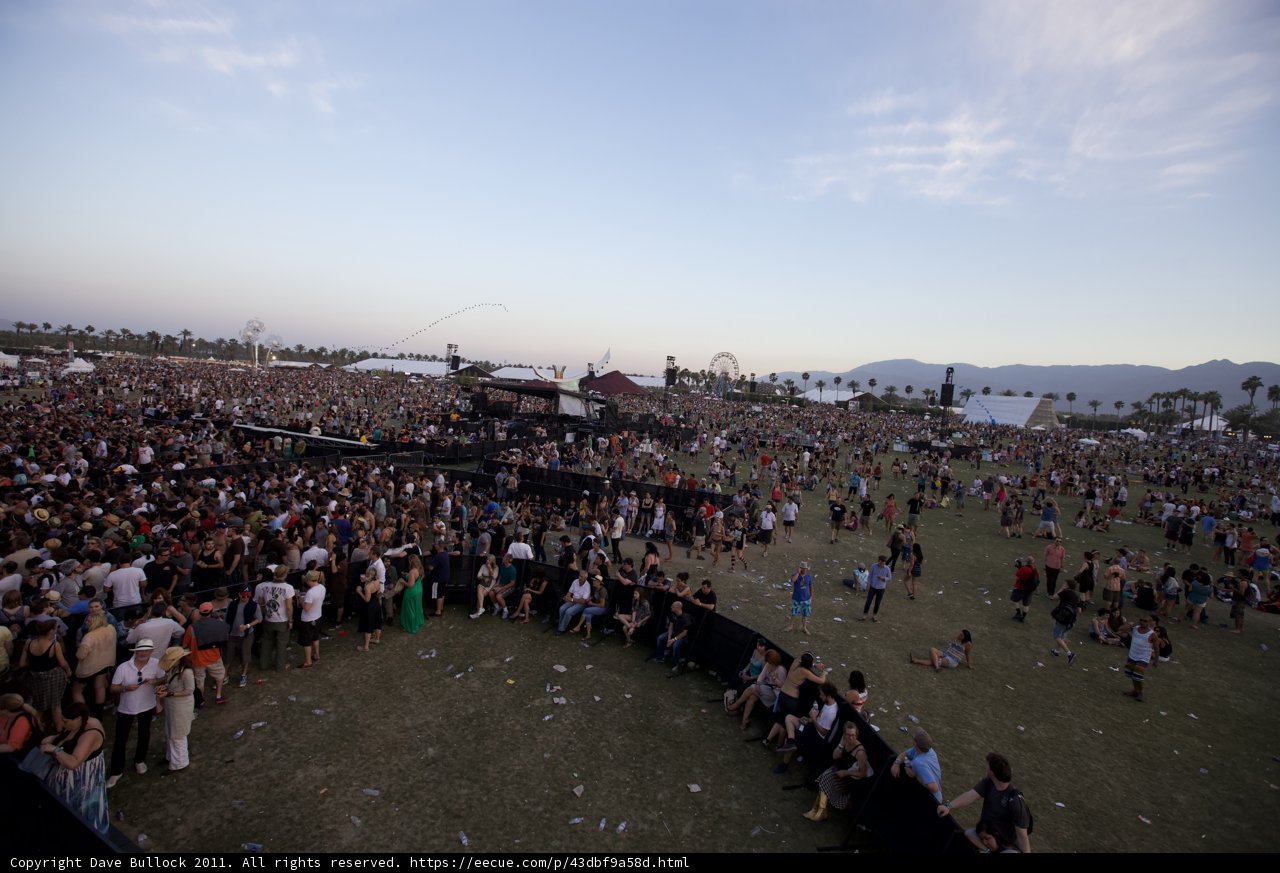 Music Festival Madness