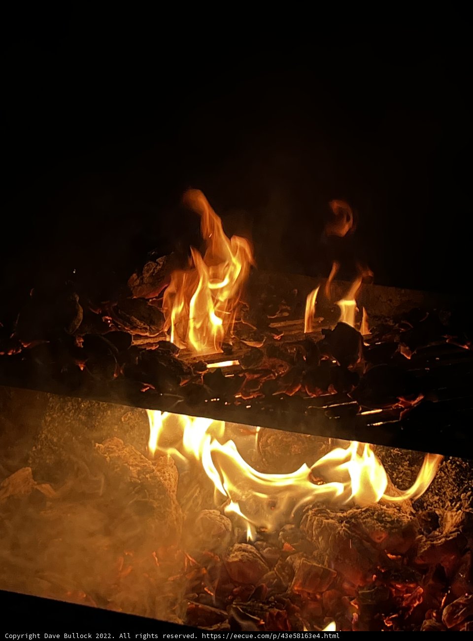 Flames in the Forest
