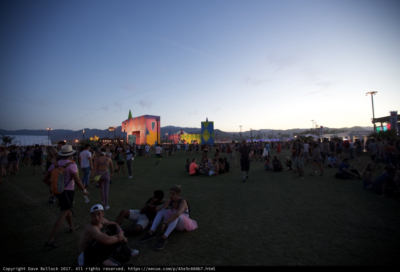 Festival Fun in the Sun