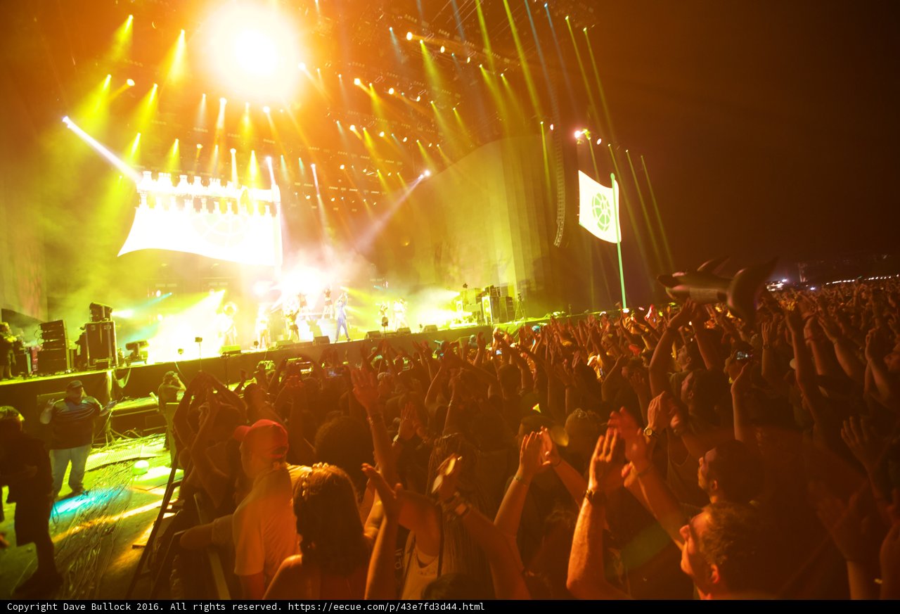 Rocking with the Crowd