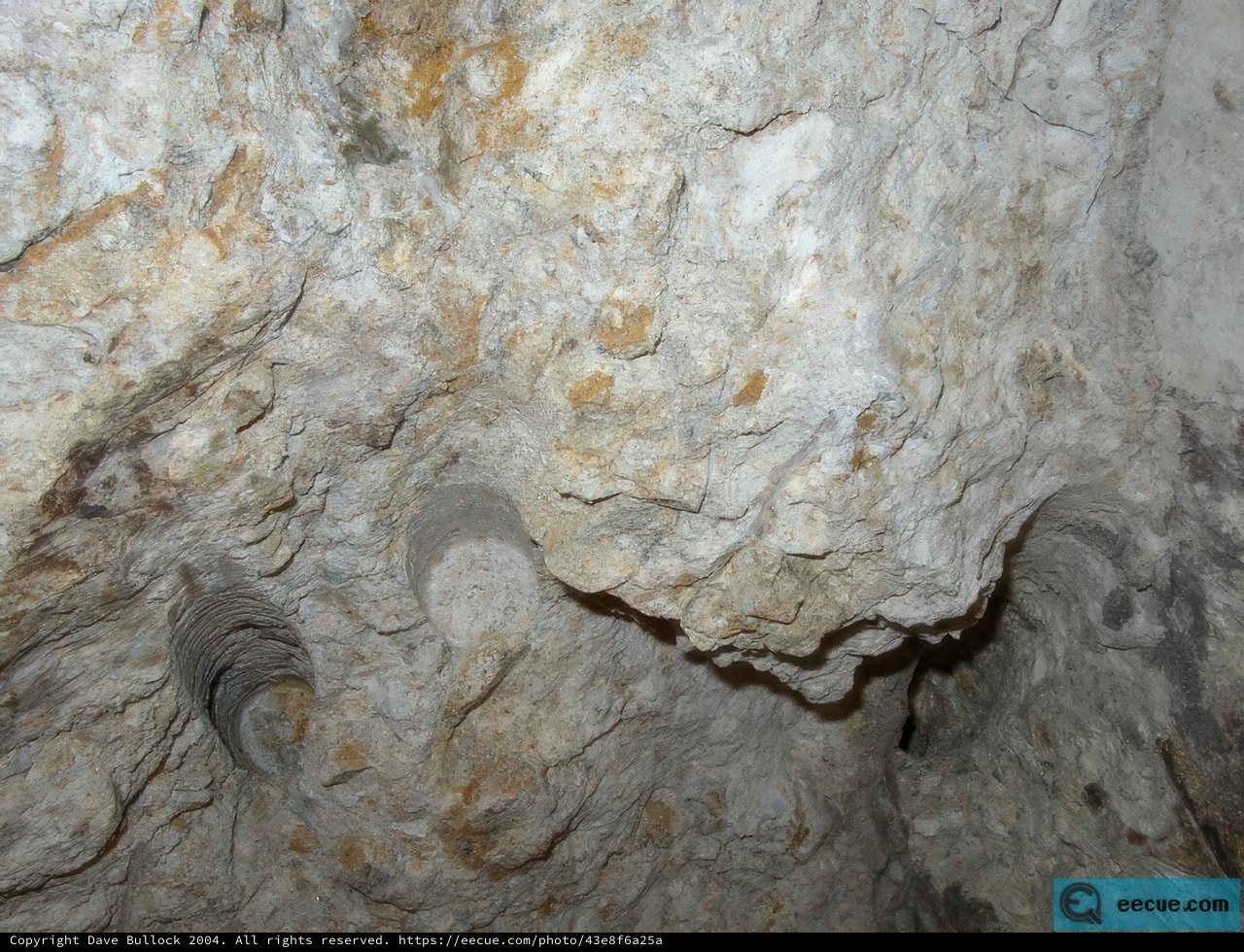 Nature's Sculpture in a Limestone Cave