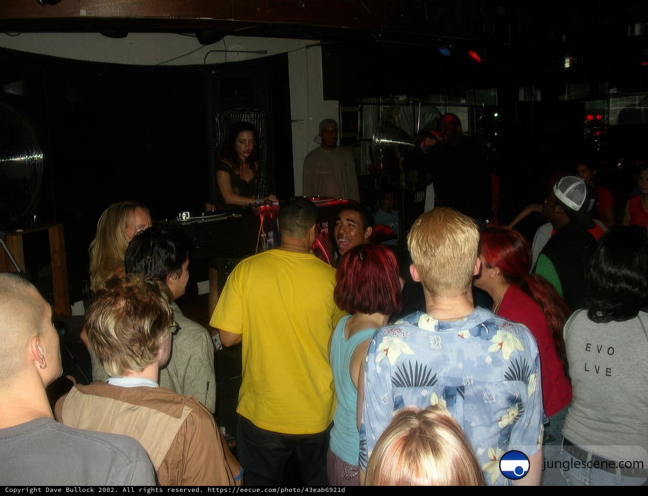 Night Club Crowd