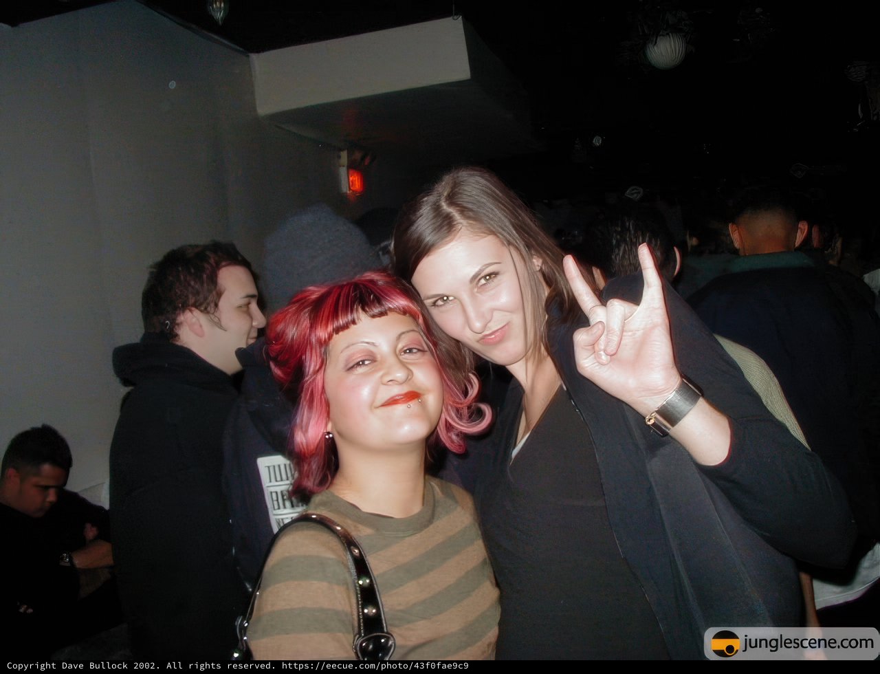 Nightclub Fun with Friends
