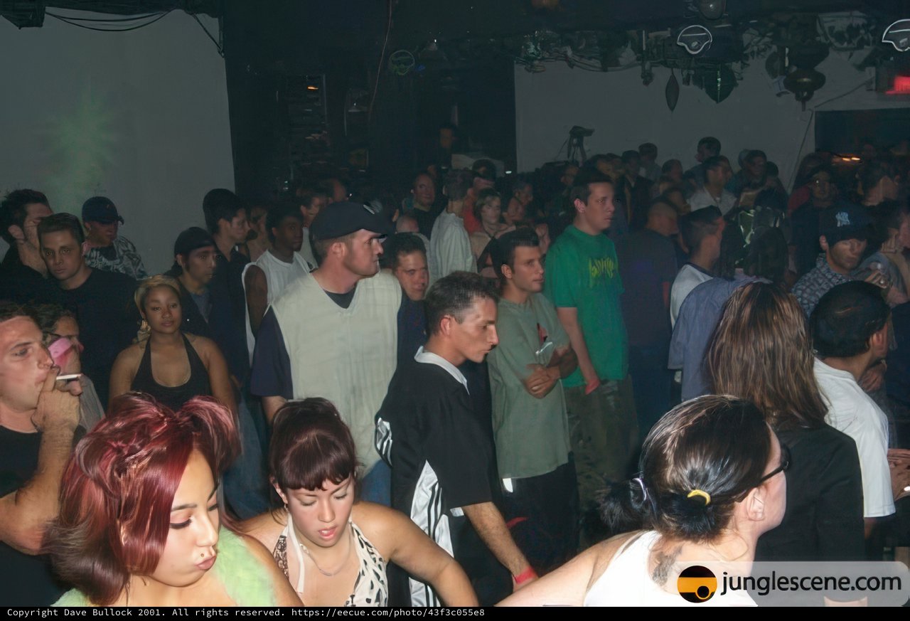 Disco Fever with DJ on Fire