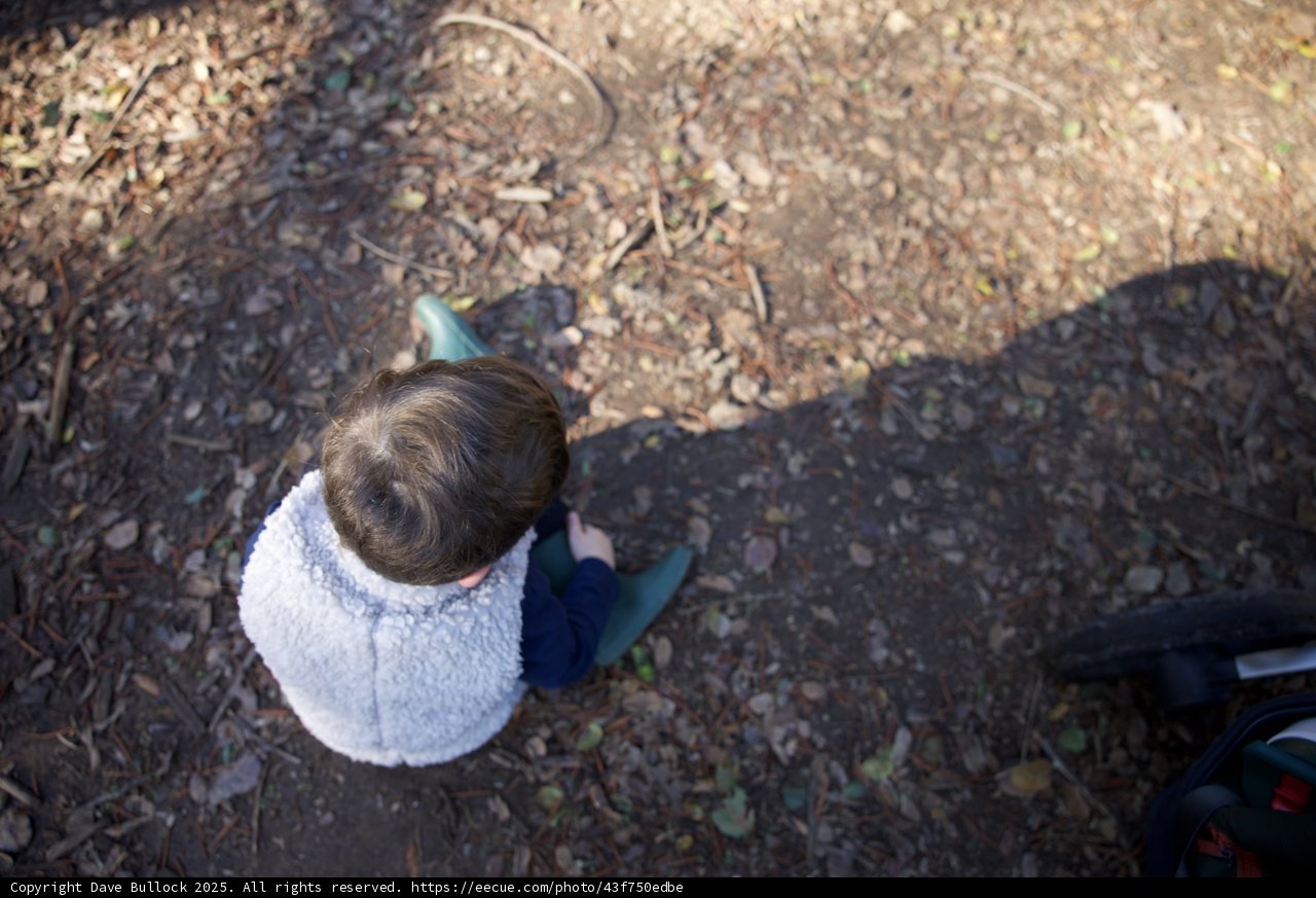 Quiet Contemplation at Thistlewyck