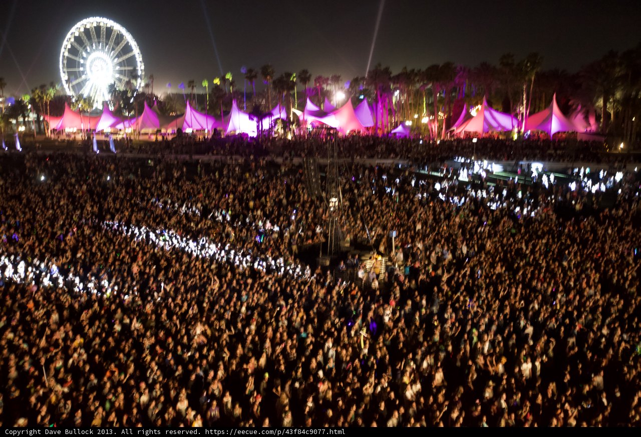 Festival Fever