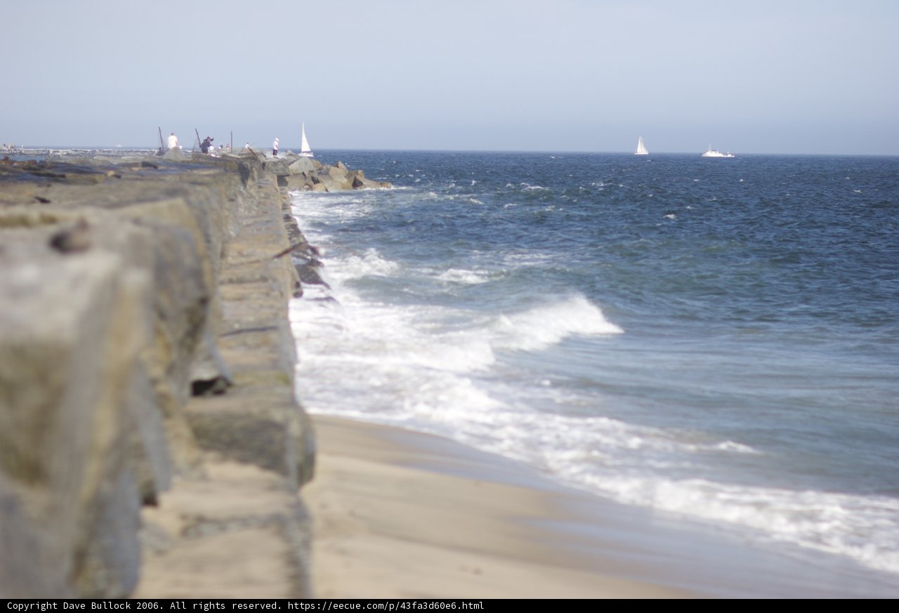 Sailboats on the Ocean