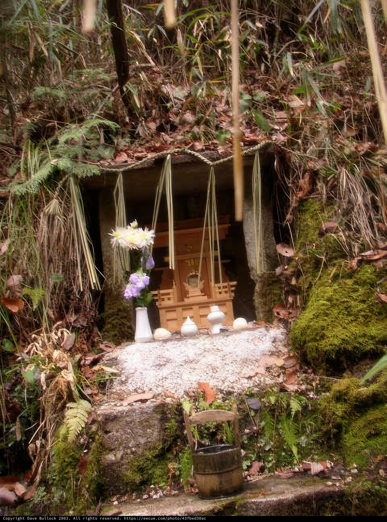 Woodland Shrine