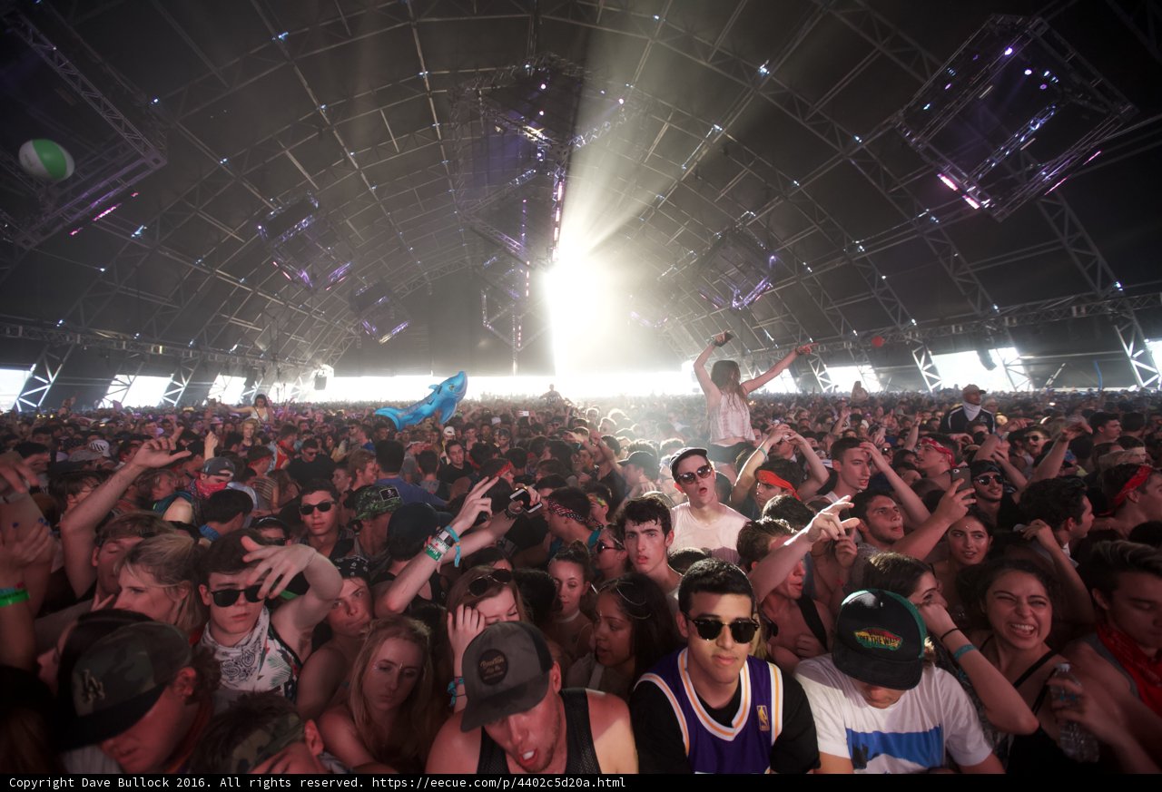 Coachella Concert-Goers Rocking the Night Away