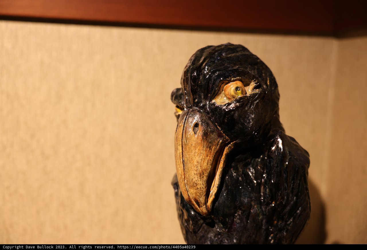 Avian Sculpture