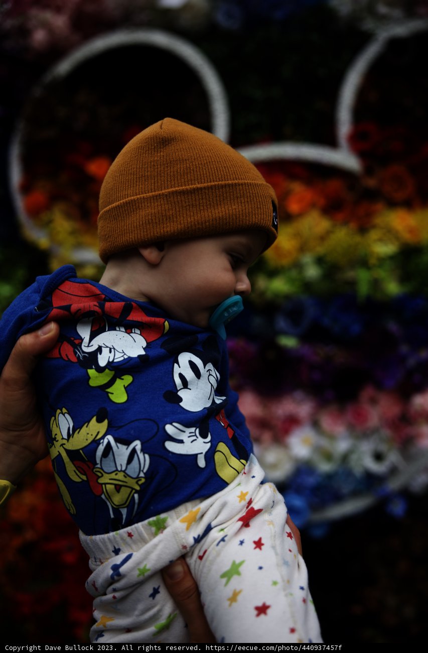 Little Explorer at Disneyland