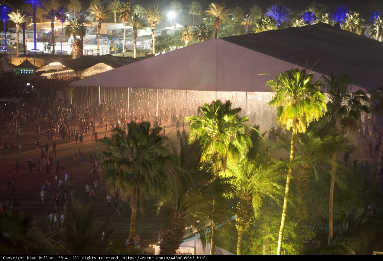 Nighttime Festivities Under the Palm Trees