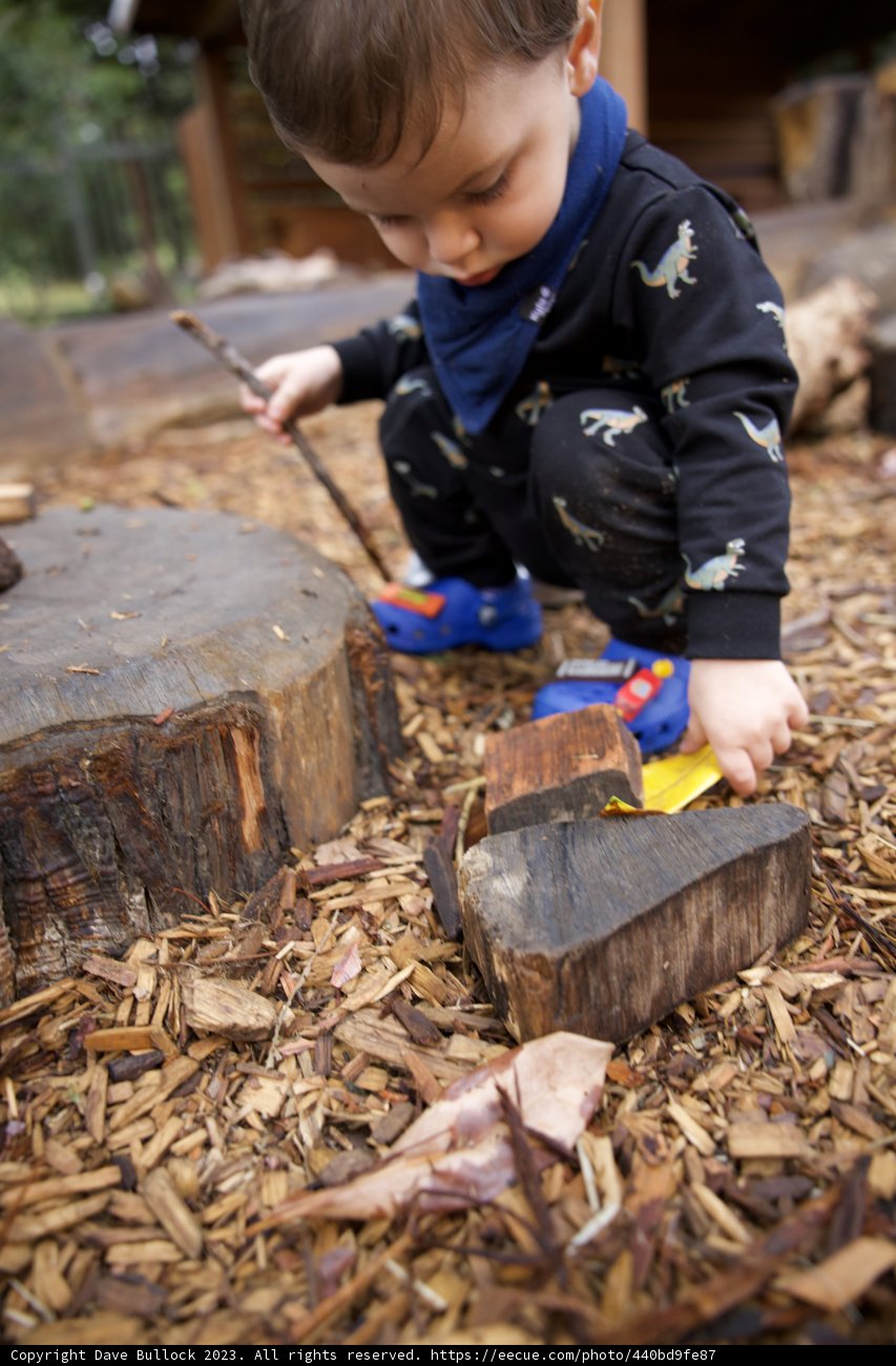 Innocence Among the Woods