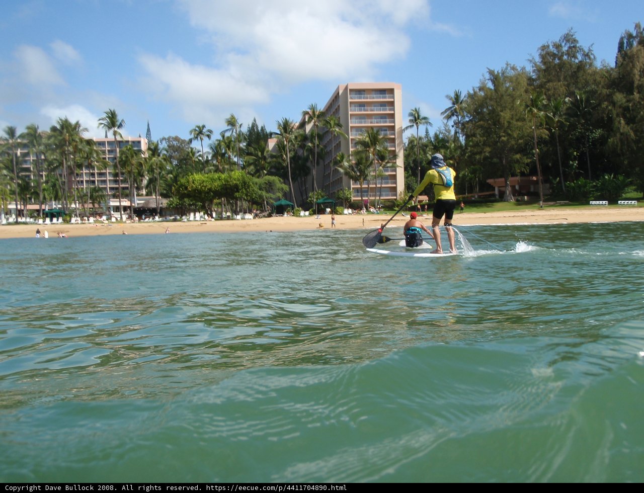 Surfing in Paradise